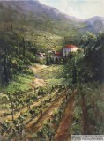 Click to View Tuscany Vineyard